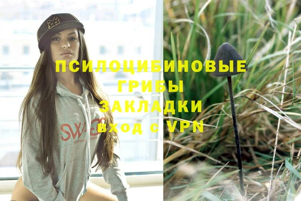МДМА Белокуриха